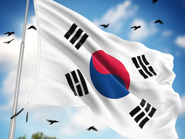 korean flag
